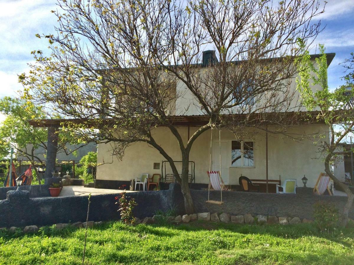 Mamuka'S Guesthouse Udabno Exterior photo